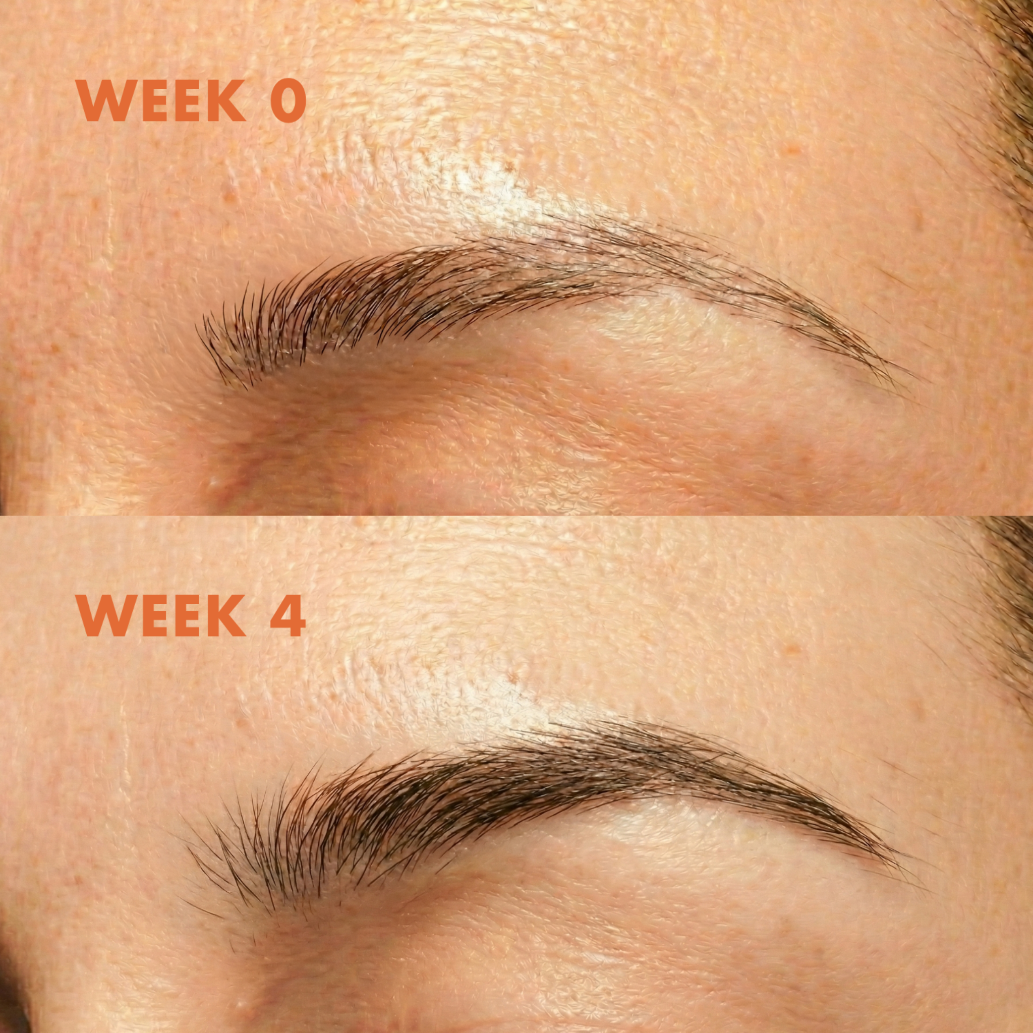 LET IT THRIVE EYEBROW SERUM