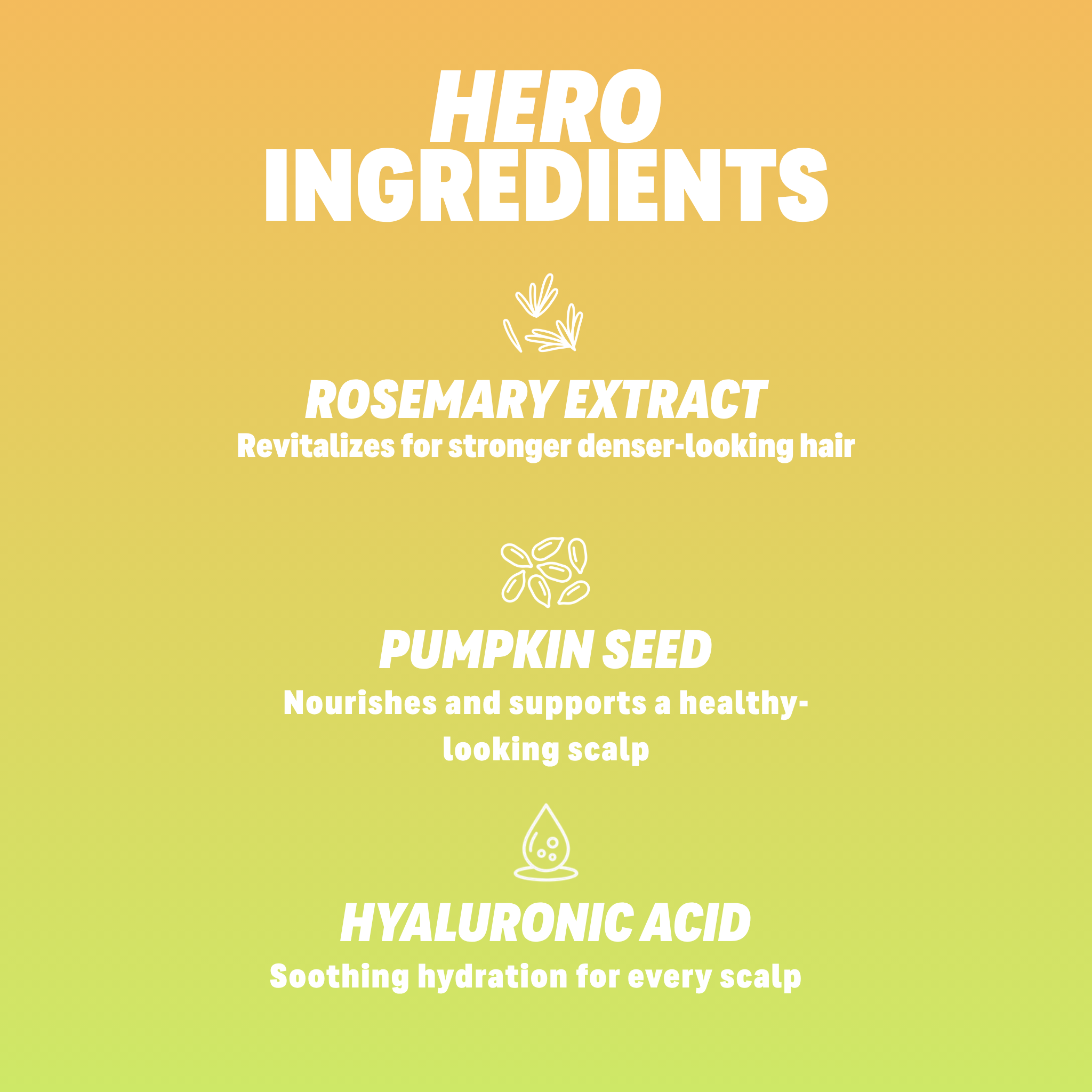 Vegan pumpkin seed and rosemary scalp tonic for the appearance of thicker hair